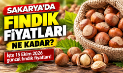 Sakarya’da fındık fiyatları ne kadar? İşte 15 Ekim 2026 güncel fındık fiyatları!
