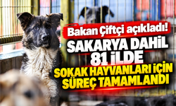 Bakan Çiftçi açıkladı! Sakarya dahil 81 ilde sokak hayvanları için süreç tamamlandı