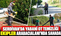 Serdivan'da yabani ot temizliği: Ekipler Arabacıalanı'nda sahada