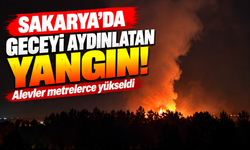 Erenler'de alevler geceyi aydınlattı!