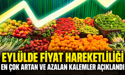Eylülde Fiyat Hareketliliği: En Çok Artan ve Azalan Kalemler Açıklandı