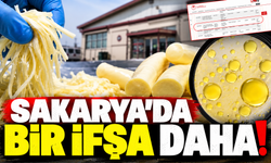 Sakarya’daki o peynir yine Bakanlığın listesinde!