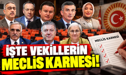 İşte vekillerin meclis karnesi!