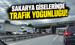 Sakarya gişelerinde trafik yoğunluğu
