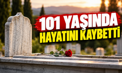 Sakarya’nın asırlık çınarı hayatını kaybetti