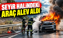 Sakarya-Bilecik yolunda seyir halindeki araç alev aldı