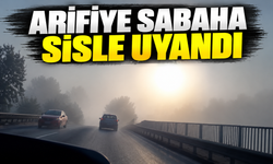 Arifiye’de yoğun sis etkili oldu