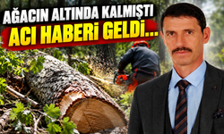 Devrilen ağacın altında kalmıştı: 4 aylık yaşam mücadelesini kaybetti