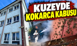 Kahverengi kokarca istilası: Evleri ve okulu sardılar