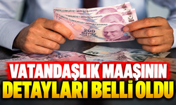 Vatandaşlık maaşında detaylar ortaya çıktı! İşte gelir şartı ve ödeme sistemi