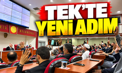 Sakarya'da TEK Kavşağı Projesi için yeni karar!