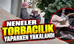 Neneler torbacılık yaparken yakalandı!