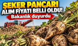 Şeker pancarı alım fiyatı belli oldu! Bakanlık duyurdu