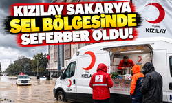Kızılay Sakarya sel bölgesinde seferber oldu!