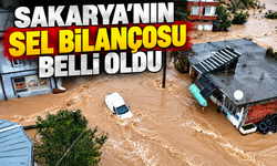Sakarya'da sel bilançosu açıklandı! 700 öğrenci mahsur kaldı, 420 ihbar yapıldı