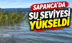 Sapanca Gölü eski günlerine dönüyor!