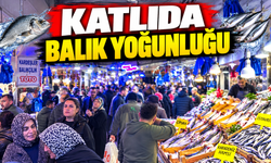 Adapazarı'nda palamut 100 TL'ye düştü!