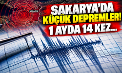 Sakarya'da 1 ayda 14 deprem!