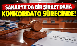 Sakarya'da bir şirket daha konkordato sürecinde!