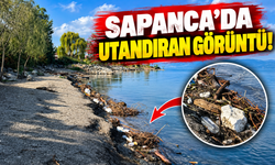 Sapanca Gölü kıyısında utandıran manzara!