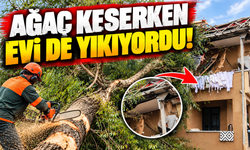 Sakarya'da korku dolu anlar! Kesilen dev ağaç evin üzerine devrildi