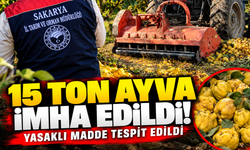 15 ton ayva imha edildi! Yasaklı madde tespit edildi