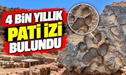 4 bin yıllık sır ortaya çıktı! Bir köpeğin pati izleri tarihe ışık tuttu