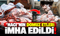 Sakarya'da domuz eti skandalında yeni gelişme! 2,6 ton sucuk imha edildi