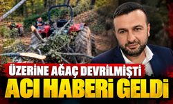 Karasu'da üzerine ağaç devrilmişti! 3 çocuk babasından acı haber