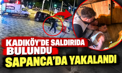 Kadıköy'deki silahlı saldırının şüphelileri Sakarya'da bungalovda yakalandı! 5 tutuklama