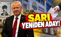 Sarı yeniden aday