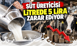Süt üreticilerinden zam çağrısı! Litre başına zarar 5 lirayı aştı