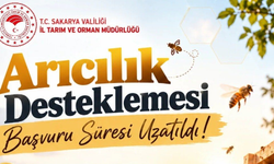 Sakarya'daki arıcılara müjde! Başvuru süresi uzatıldı