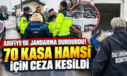 Arifiye'de jandarma durdurdu! 70 kasa hamsi için ceza kesildi
