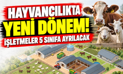 Hayvancılıkta yeni dönem! İşletmeler 5 sınıfa ayrılacak
