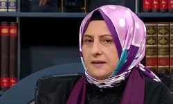AK Parti’ye yeni Genel Başkan Yardımcısı Sakarya'dan