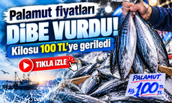 Palamut fiyatları dibe vurdu! Kilosu 100 TL'ye geriledi