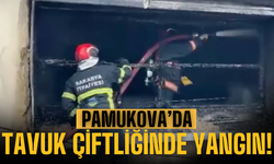 Pamukova’da tavuk çiftliğinde yangın!