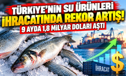 Türkiye'nin su ürünleri ihracatında rekor artış! 9 ayda 1,8 milyar doları aştı