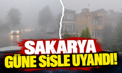 Sakarya güne sisle uyandı!