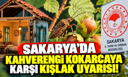 Sakarya'da kahverengi kokarcaya karşı kışlak uyarısı!