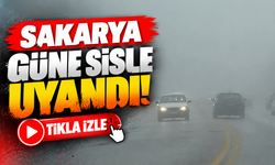 Sakarya güne sisle uyandı!