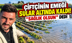 Çiftçinin emeği sular altında kaldı!