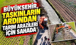 Büyükşehir taşkın sonrası tarım arazilerinde: Drenaj hatları temizleniyor