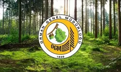 Orman Genel Müdürlüğü 12 müfettiş yardımcısı alacak!