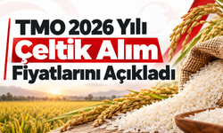 TMO 2026 Yılı Çeltik Alım Fiyatlarını Açıkladı