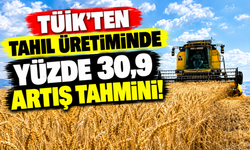 TÜİK'ten tahıl üretiminde yüzde 30,9 artış tahmini!