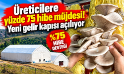 Üreticilere yüzde 75 hibe müjdesi! Yeni gelir kapısı açılıyor