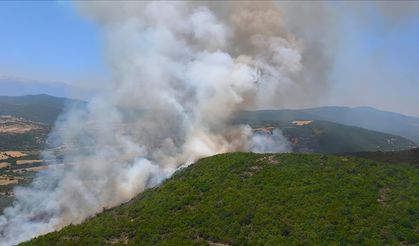 Bursa'da orman yangını çıktı: Müdahale ediliyor!