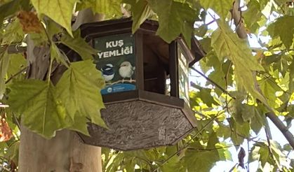 Sakarya’da Kuşlara Yaz-Kış Barınak!